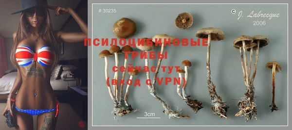 каннабис Зеленокумск
