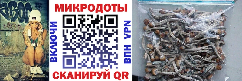 Псилоцибиновые грибы прущие грибы  Зеленогорск 