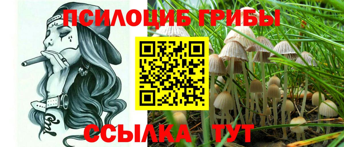 Галлюциногенные грибы MAGIC MUSHROOMS  Псилоцибиновые грибы ЛСД  Зеленогорск  Вход с VPN 